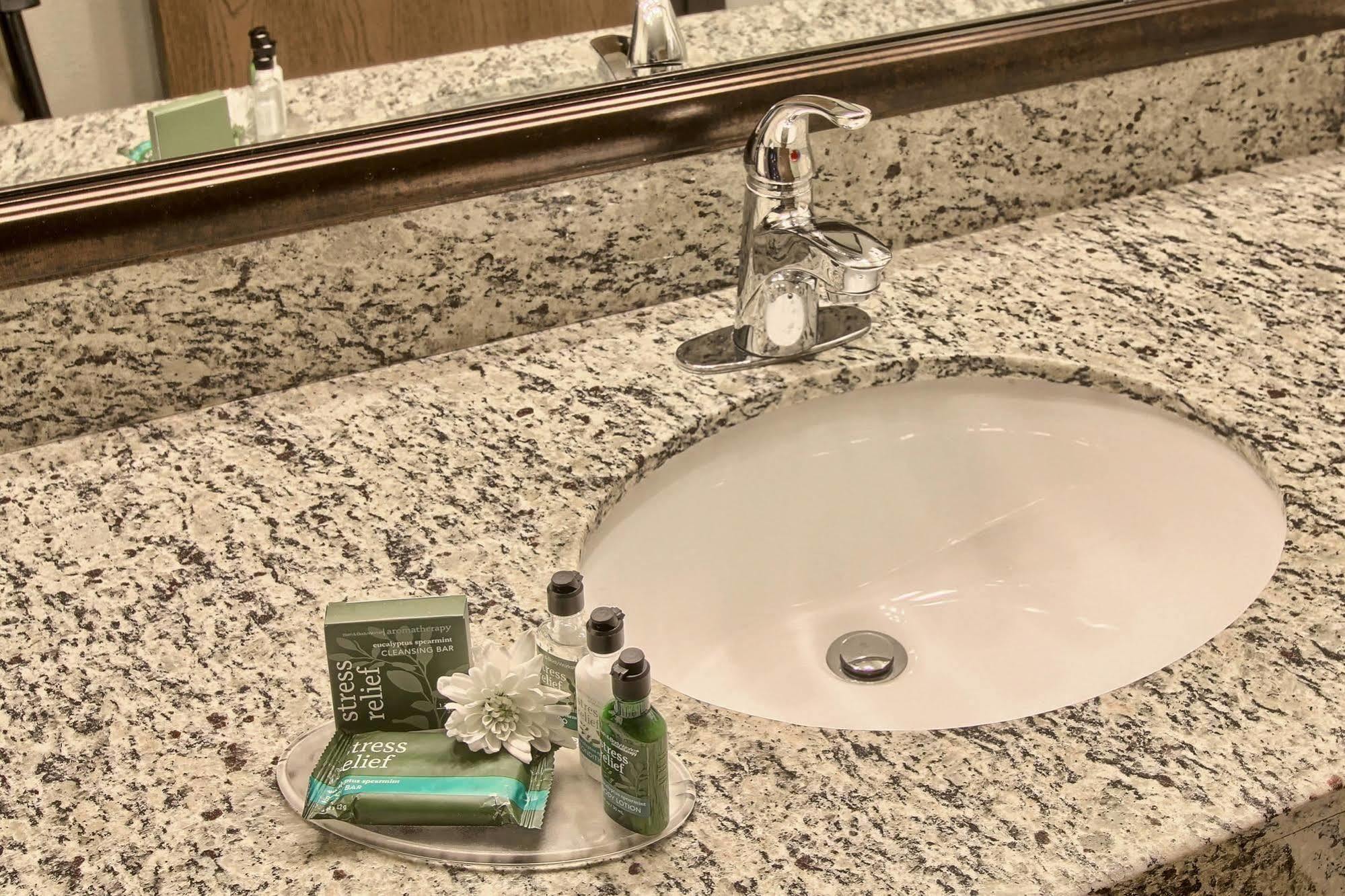 Blossom Hotel & Suites Traverse City Luaran gambar